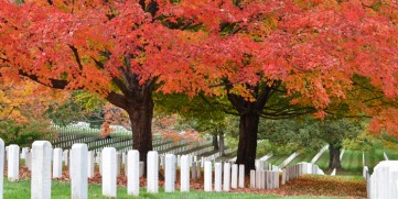 Arlington National Cemetery in the fall.